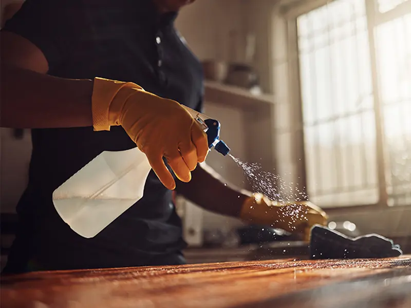 Gallery Thumbnail 14